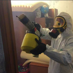Уничтожение клопов в квартире. Петухово